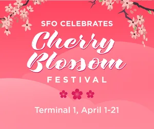 SFO Celebrates Cherry Blossom Festival Graphic