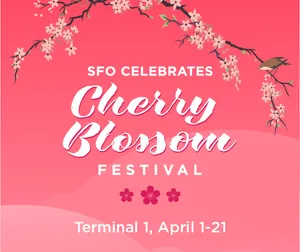SFO Celebrates Cherry Blossom Festival Graphic