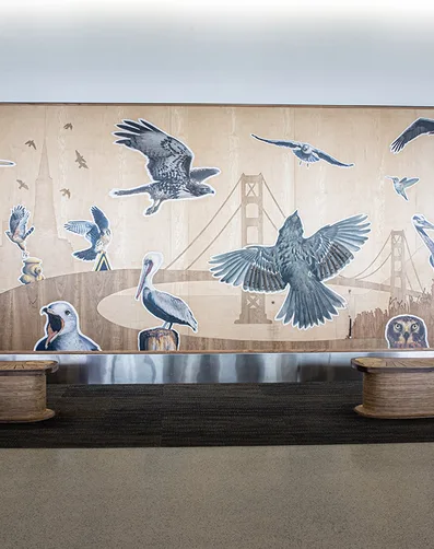 Bird Encounters kids area