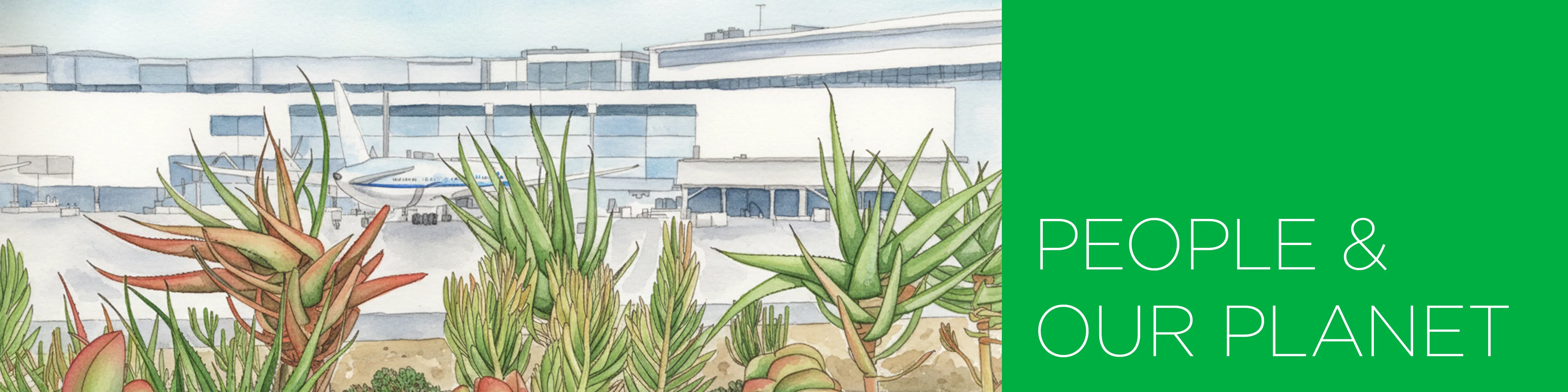 Vector drawing of plants at Harvey Milk Terminal 1 SFO